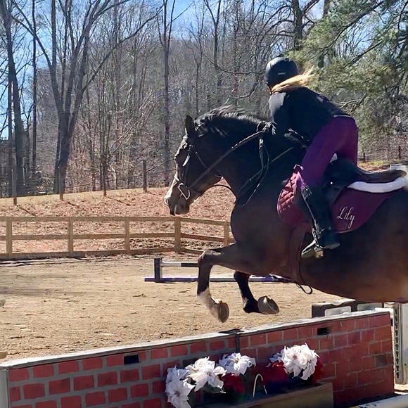 Meet your Posher, Christy - Picture 2 of 7